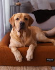 Luxury orthopaedic teddy dog bed in nutmeg colour and size large
