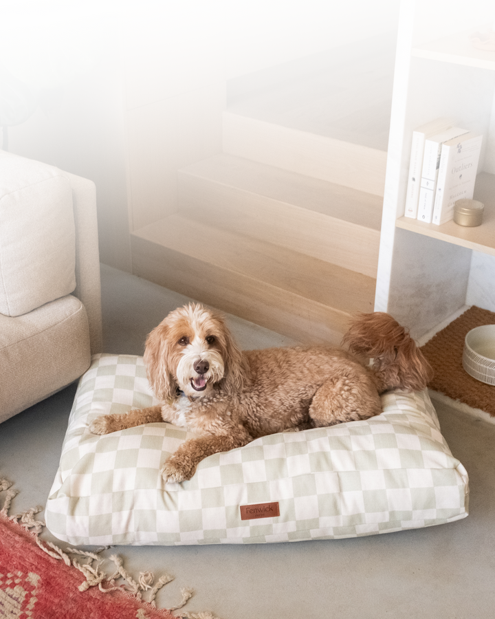 Dog bed shop online